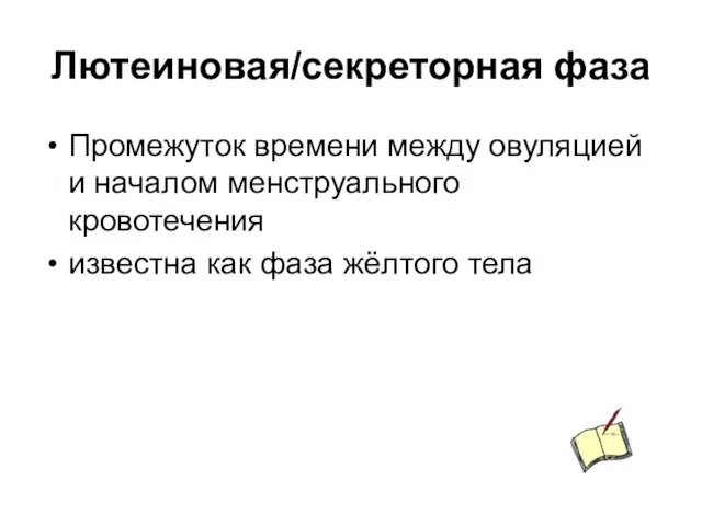 Лютеиновая/секреторная фаза Промежуток времени между овуляцией и началом менструального кровотечения известна как фаза жёлтого тела