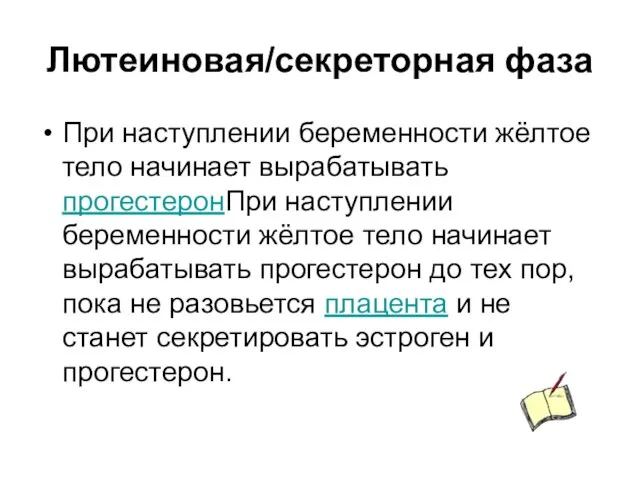 Лютеиновая/секреторная фаза При наступлении беременности жёлтое тело начинает вырабатывать прогестеронПри наступлении