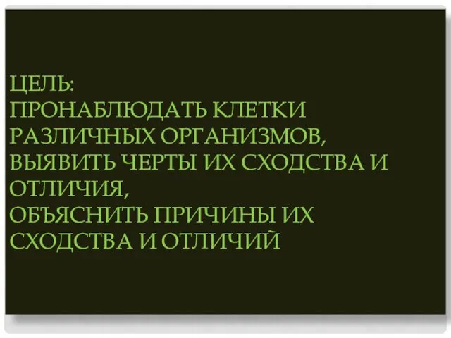 ЦЕЛЬ: ПРОНАБЛЮДАТЬ КЛЕТКИ РАЗЛИЧНЫХ ОРГАНИЗМОВ, ВЫЯВИТЬ ЧЕРТЫ ИХ СХОДСТВА И ОТЛИЧИЯ,