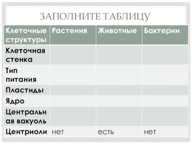 ЗАПОЛНИТЕ ТАБЛИЦУ