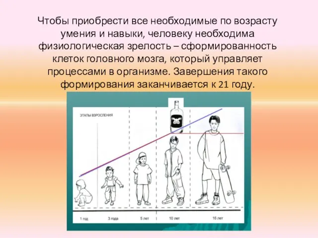 Чтобы приобрести все необходимые по возрасту умения и навыки, человеку необходима