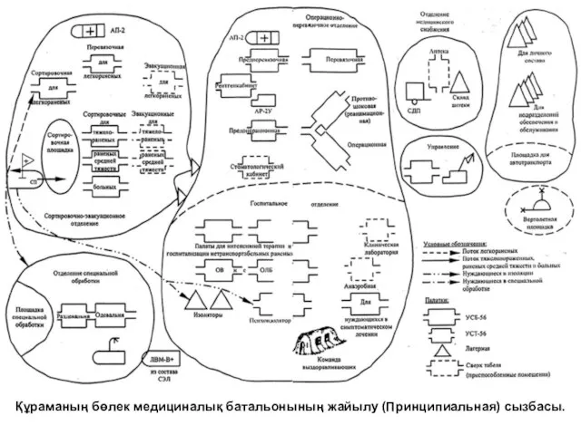 Құраманың бөлек медициналық батальонының жайылу (Принципиальная) сызбасы.