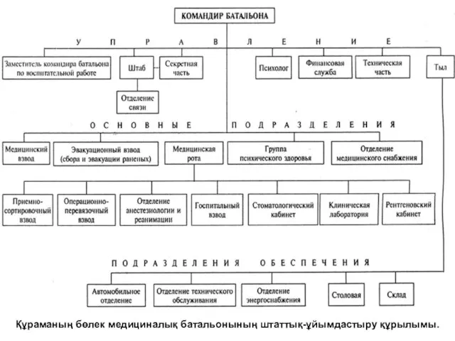 Құраманың бөлек медициналық батальонының штаттық-ұйымдастыру құрылымы.