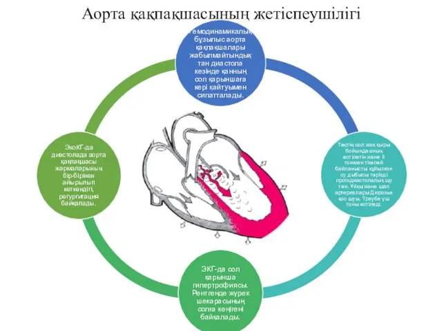 Аорта қақпақшасының жетіспеушілігі