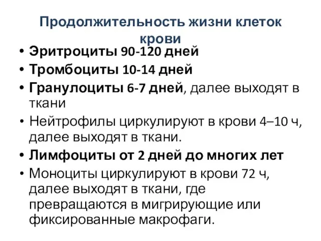 Продолжительность жизни клеток крови Эритроциты 90-120 дней Тромбоциты 10-14 дней Гранулоциты