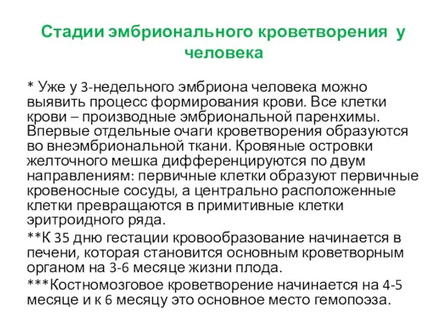 Стадии эмбрионального кроветворения у человека * Уже у 3-недельного эмбриона человека