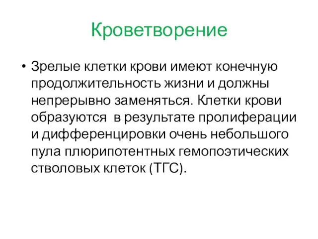 Кроветворение Зрелые клетки крови имеют конечную продолжительность жизни и должны непрерывно