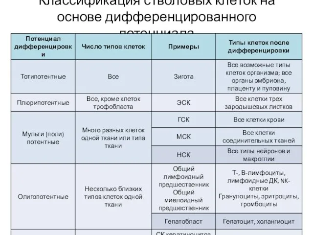 Классификация стволовых клеток на основе дифференцированного потенциала