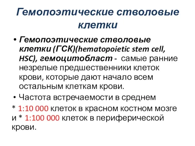 Гемопоэтические стволовые клетки Гемопоэтические стволовые клетки (ГСК)(hematopoietic stem cell, HSC), гемоцитобласт