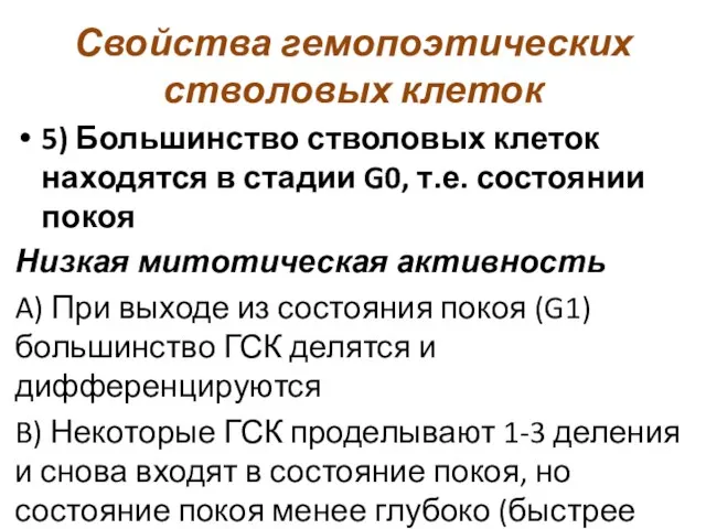 Свойства гемопоэтических стволовых клеток 5) Большинство стволовых клеток находятся в стадии