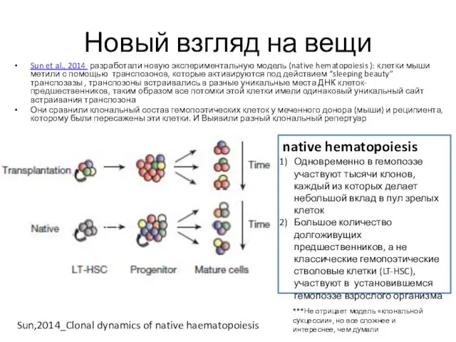 Новый взгляд на вещи Sun et al., 2014 разработали новую экспериментальную