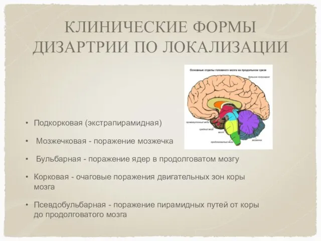 КЛИНИЧЕСКИЕ ФОРМЫ ДИЗАРТРИИ ПО ЛОКАЛИЗАЦИИ Подкорковая (экстрапирамидная) Мозжечковая - поражение мозжечка