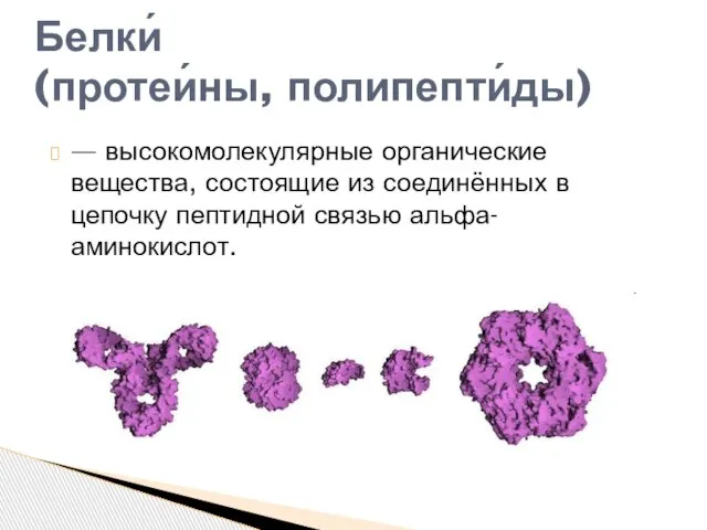 Белки́ (протеи́ны, полипепти́ды) — высокомолекулярные органические вещества, состоящие из соединённых в цепочку пептидной связью альфа-аминокислот.