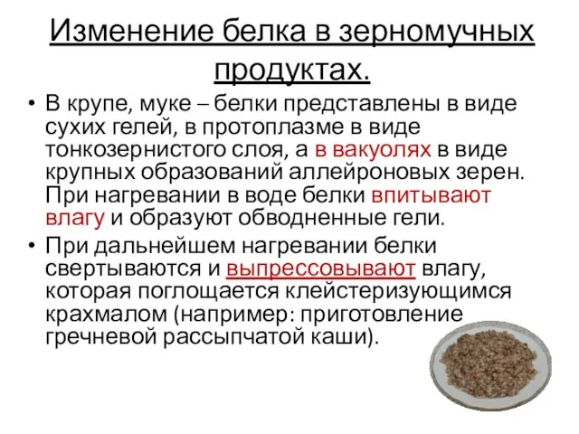 Изменение белка в зерномучных продуктах. В крупе, муке – белки представлены