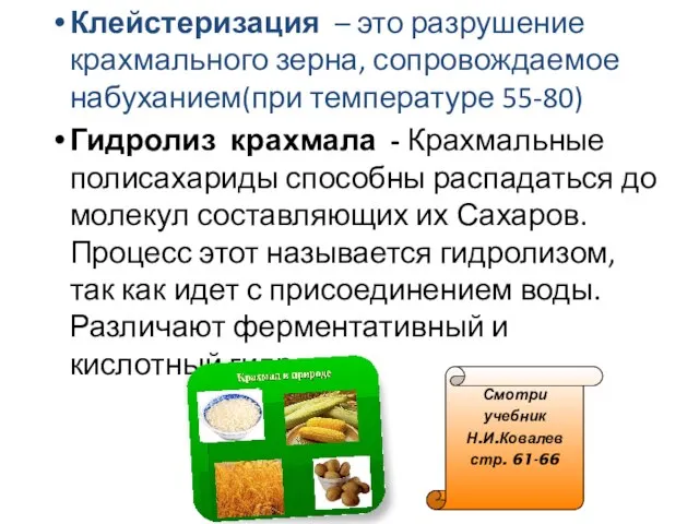 Клейстеризация – это разрушение крахмального зерна, сопровождаемое набуханием(при температуре 55-80) Гидролиз