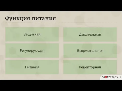 Функция питания Защитная Регулирующая Питания Дыхательная Выделительная Рецепторная