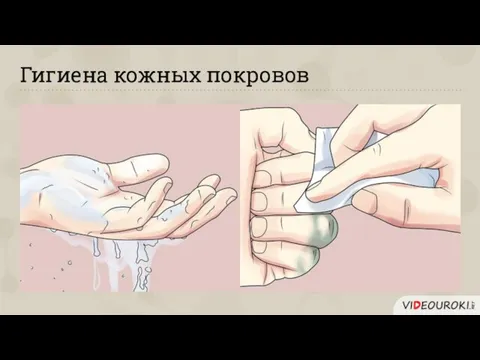 Гигиена кожных покровов