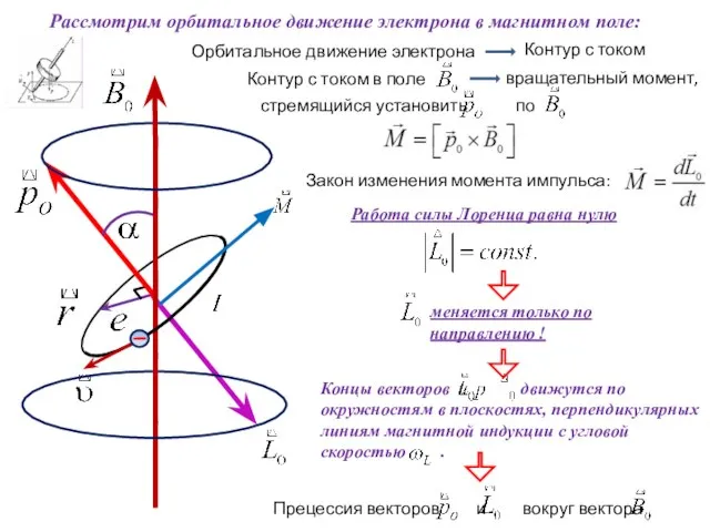 Работа силы Лоренца равна нулю Рассмотрим орбитальное движение электрона в магнитном