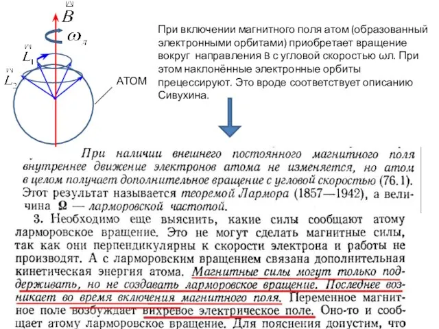 При включении магнитного поля атом (образованный электронными орбитами) приобретает вращение вокруг