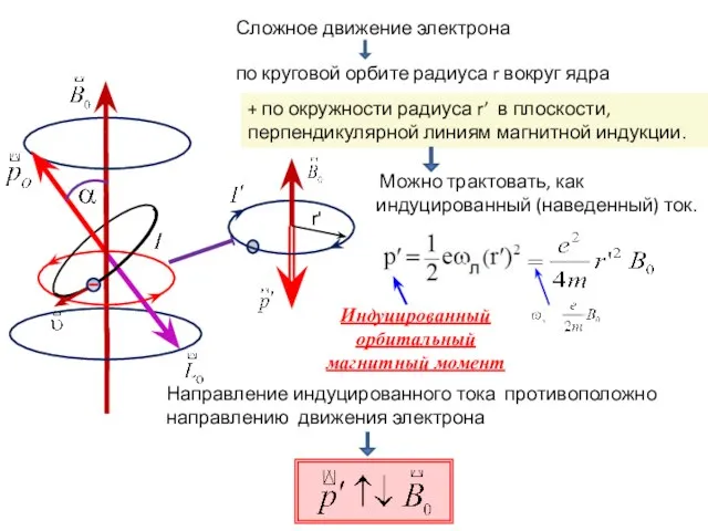 Индуцированный орбитальный магнитный момент Сложное движение электрона по круговой орбите радиуса