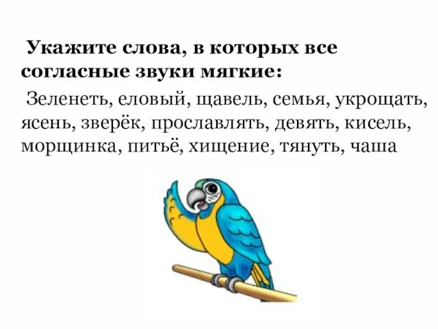 Укажите слова, в которых все согласные звуки мягкие: Зеленеть, еловый, щавель,