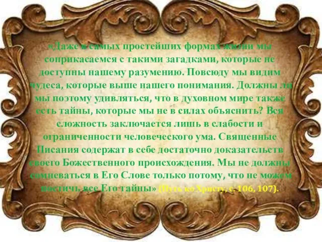 «Даже в самых простейших формах жизни мы соприкасаемся с такими загадками,