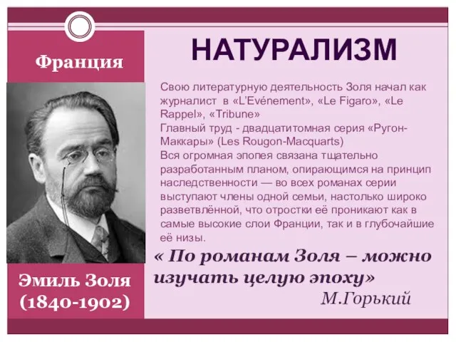 Эмиль Золя (1840-1902) Франция « По романам Золя – можно изучать