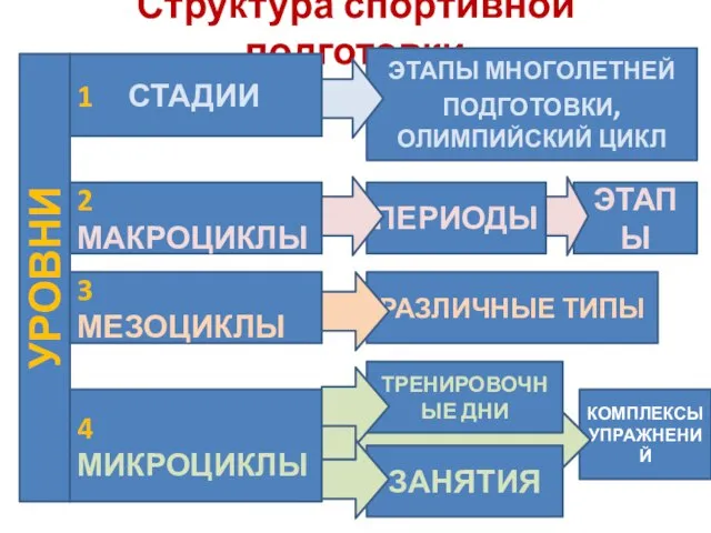 КОМПЛЕКСЫ УПРАЖНЕНИЙ Структура спортивной подготовки УРОВНИ 1 СТАДИИ 2 МАКРОЦИКЛЫ 3