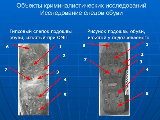 Объекты криминалистических исследований Исследование следов обуви Гипсовый слепок подошвы Рисунок подошвы