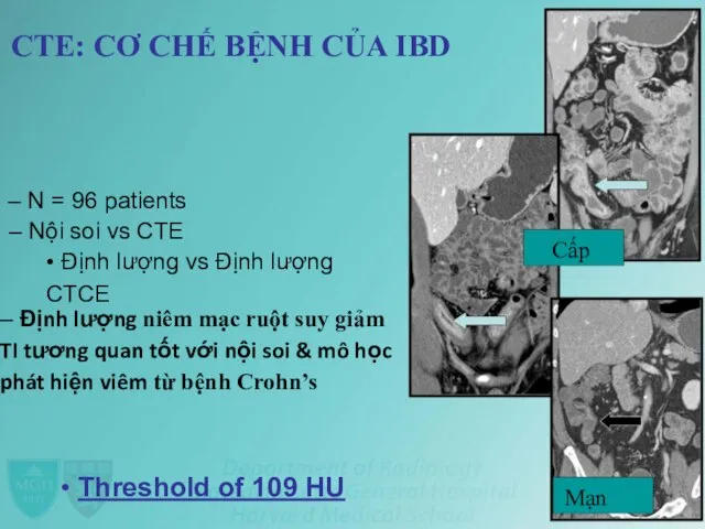 CTE: CƠ CHẾ BỆNH CỦA IBD – N = 96 patients