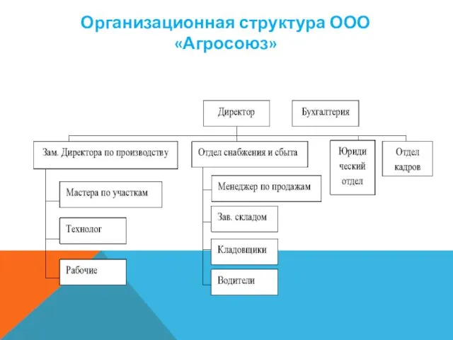 Организационная структура ООО «Агросоюз»