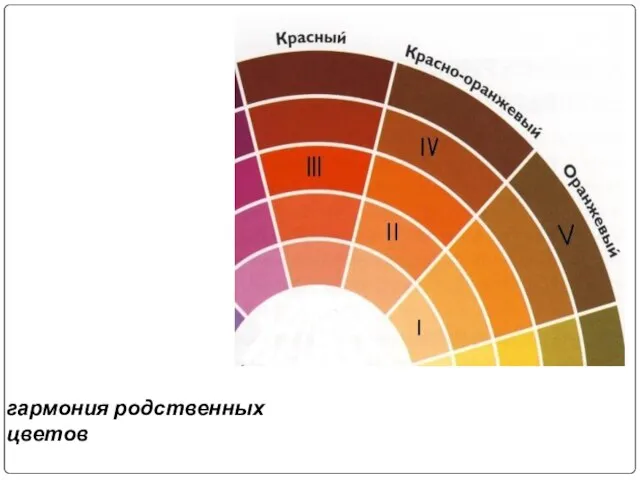 гармония родственных цветов