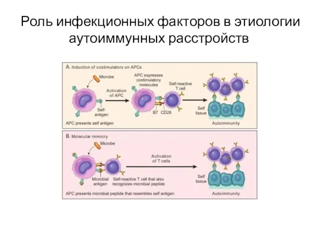 Роль инфекционных факторов в этиологии аутоиммунных расстройств