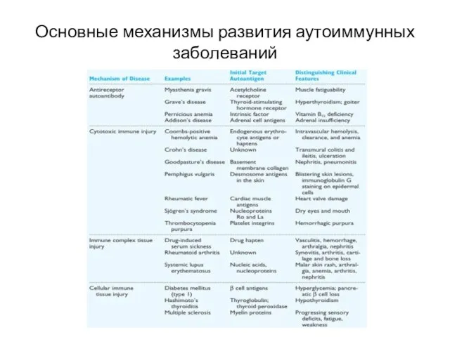 Основные механизмы развития аутоиммунных заболеваний