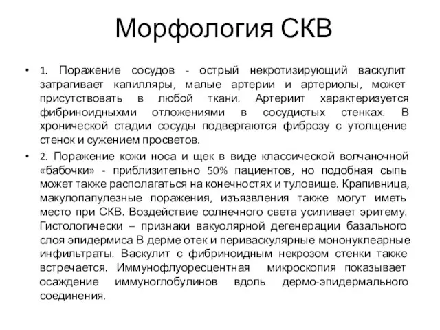 Морфология СКВ 1. Поражение сосудов - острый некротизирующий васкулит затрагивает капилляры,