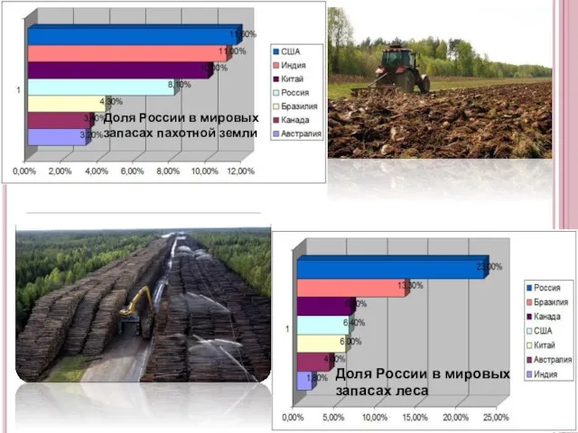 Доля России в мировых запасах пахотной земли Доля России в мировых запасах леса