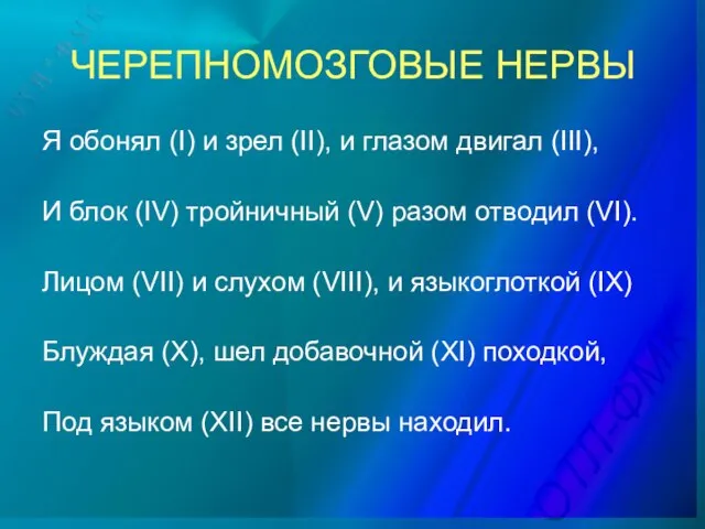 ЧЕРЕПНОМОЗГОВЫЕ НЕРВЫ Я обонял (I) и зрел (II), и глазом двигал