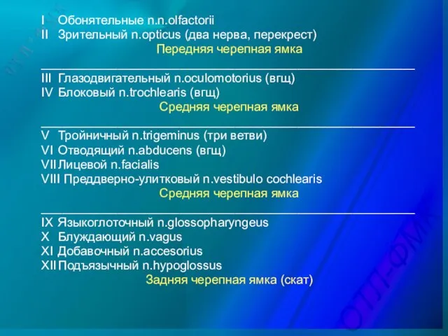 I Обонятельные n.n.olfactorii II Зрительный n.opticus (два нерва, перекрест) Передняя черепная