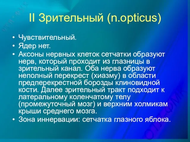 II Зрительный (n.opticus) Чувствительный. Ядер нет. Аксоны нервных клеток сетчатки образуют