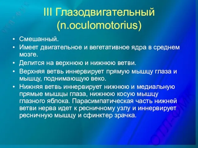 III Глазодвигательный (n.oculomotorius) Смешанный. Имеет двигательное и вегетативное ядра в среднем