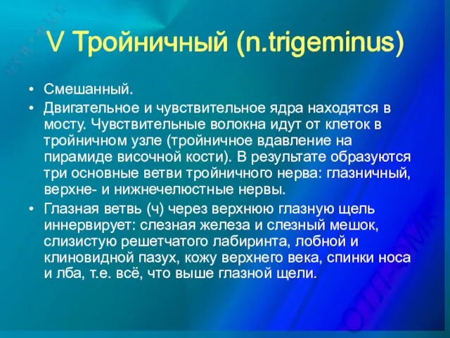 V Тройничный (n.trigeminus) Смешанный. Двигательное и чувствительное ядра находятся в мосту.