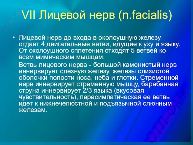 Лицевой нерв до входа в околоушную железу отдает 4 двигательные ветви,