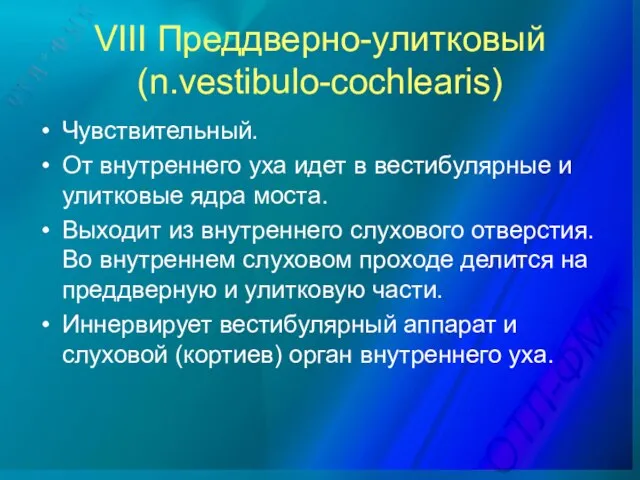 VIII Преддверно-улитковый (n.vestibulo-cochlearis) Чувствительный. От внутреннего уха идет в вестибулярные и