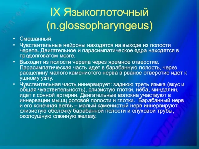 IX Языкоглоточный (n.glossopharyngeus) Смешанный. Чувствительные нейроны находятся на выходе из полости