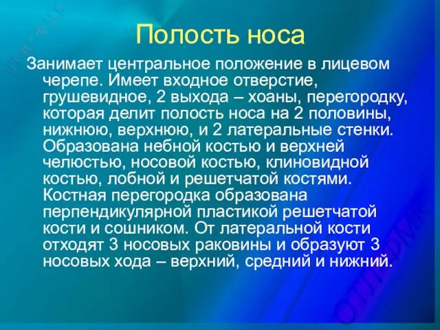 Полость носа Занимает центральное положение в лицевом черепе. Имеет входное отверстие,