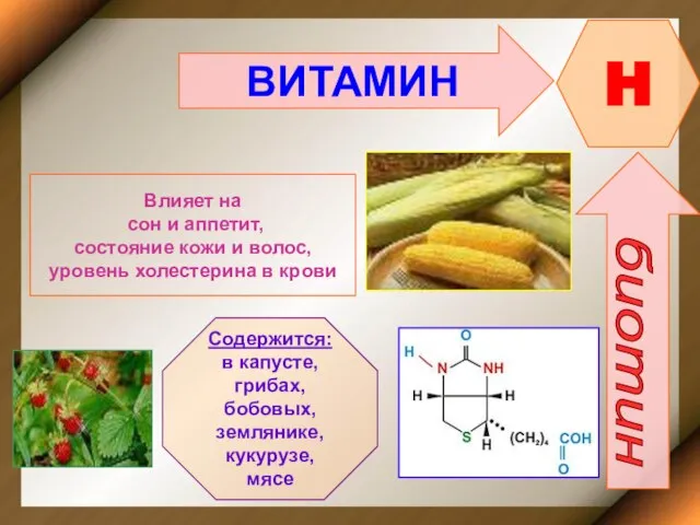 ВИТАМИН H биотин Влияет на сон и аппетит, состояние кожи и