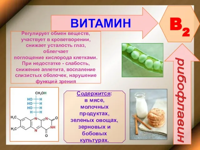 ВИТАМИН B2 рибофлавин Регулирует обмен веществ, участвует в кроветворении, снижает усталость