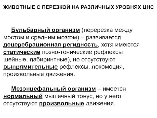 Бульбарный организм (перерезка между мостом и средним мозгом) – развивается децеребрационная