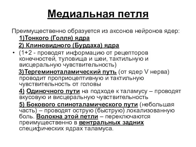 Медиальная петля Преимущественно образуется из аксонов нейронов ядер: 1)Тонкого (Голля) ядра