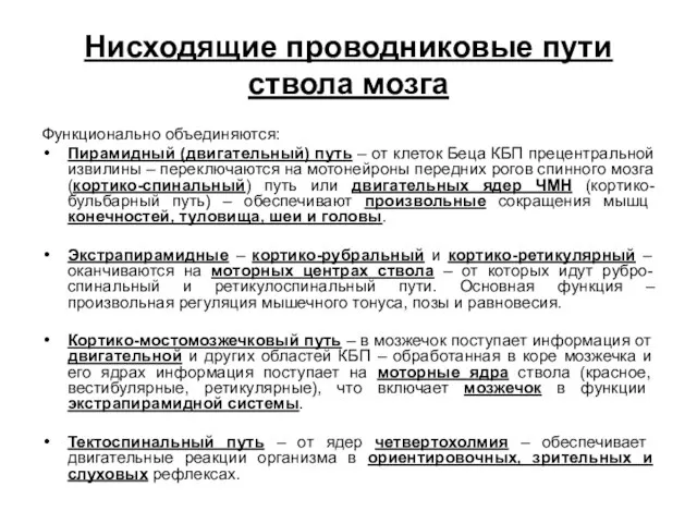 Нисходящие проводниковые пути ствола мозга Функционально объединяются: Пирамидный (двигательный) путь –